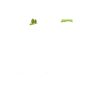 M.E.C 